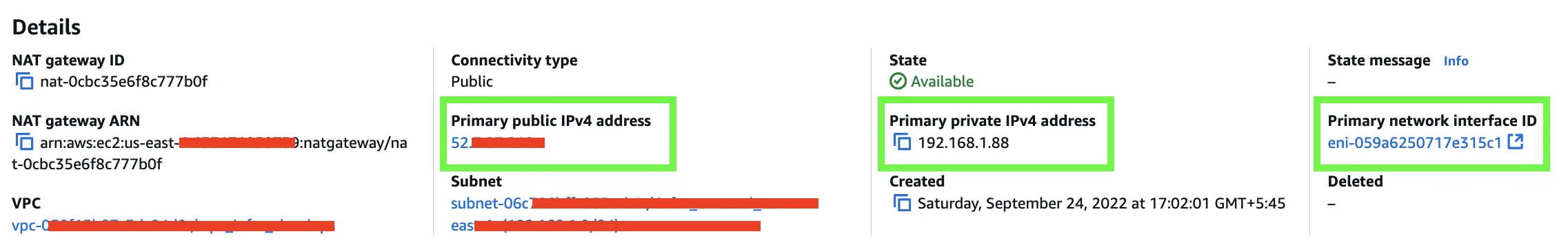 NAT Gateway with private and public IP configuration
