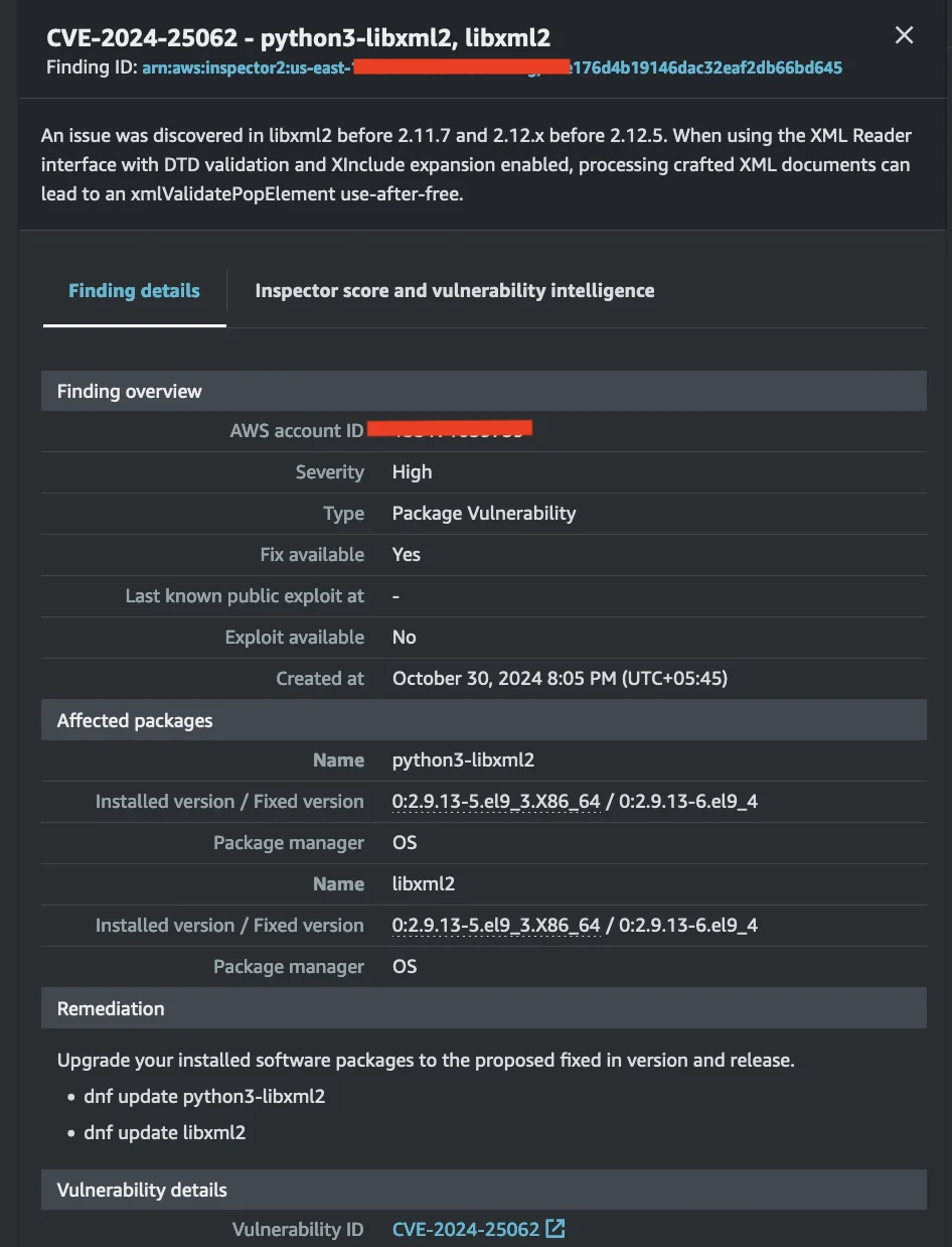 AWS Inspector Python library vulnerability details