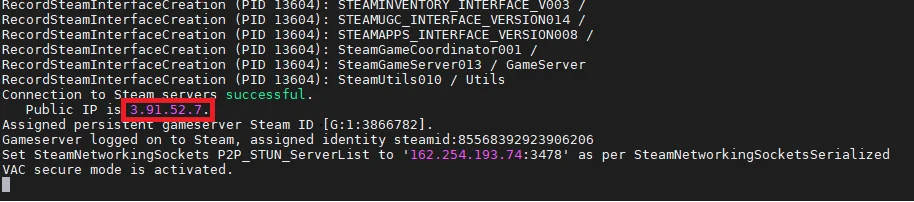 CS:GO server public IP address display
